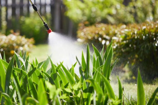 Tamper-Resistant Bait Stations for Rodents in Newport East