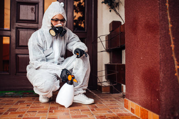 Attic and Crawl Space Rodent Treatment in Newport East