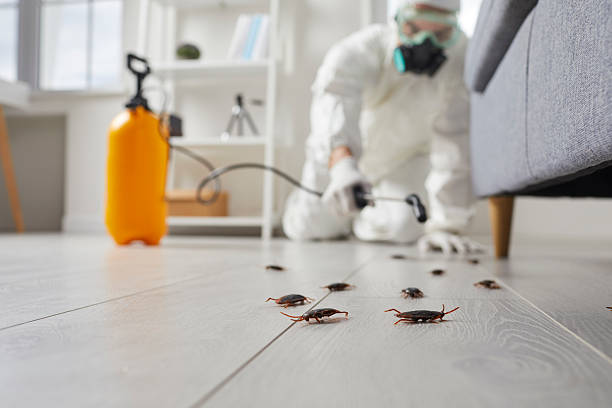 Commercial Rodent Management in Newport East